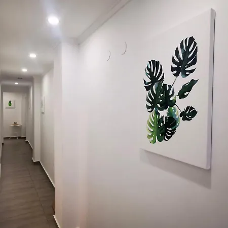 Hda Apartment